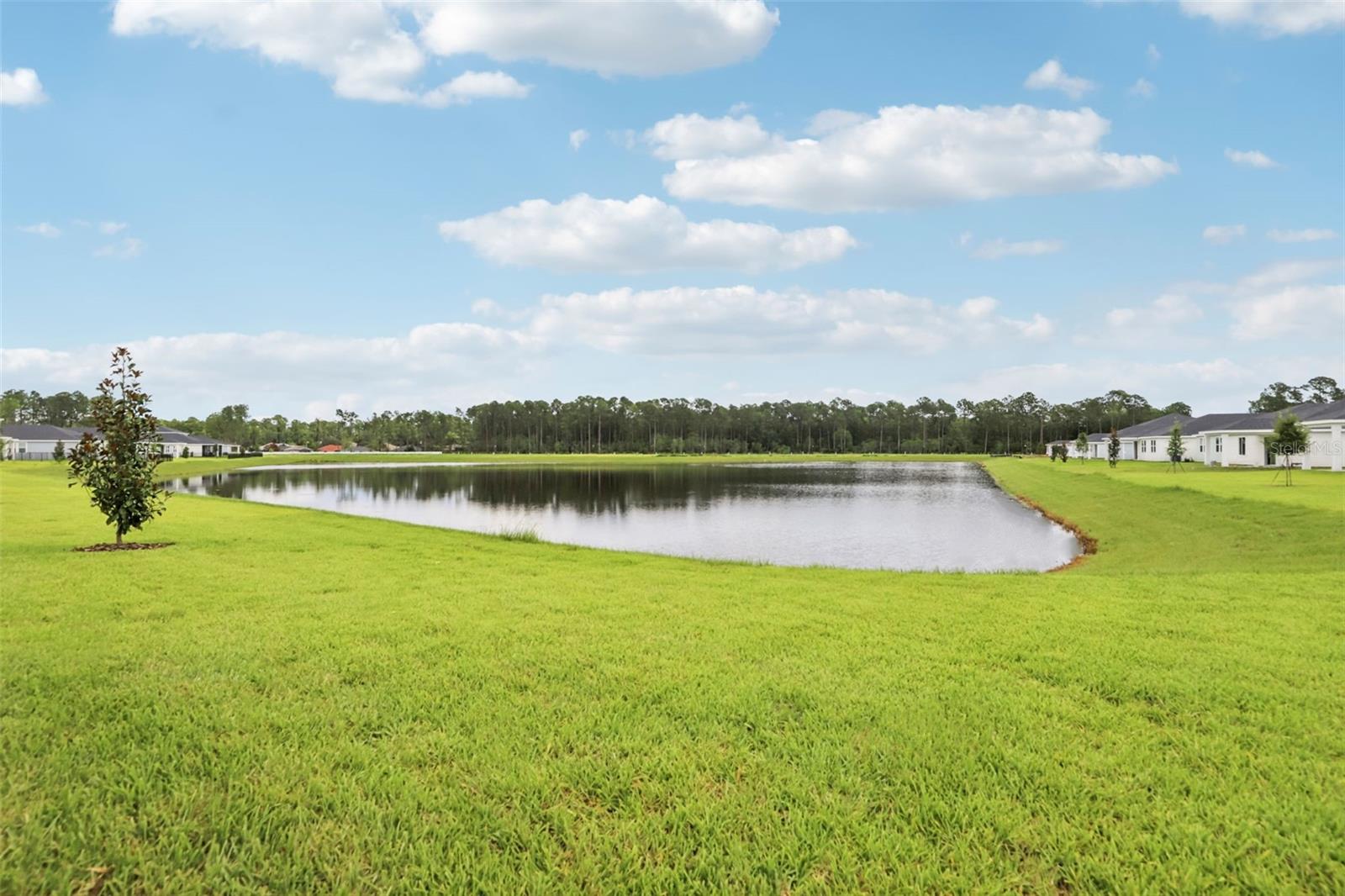 Image 5 of 41 For 6 Wandering Creek Way