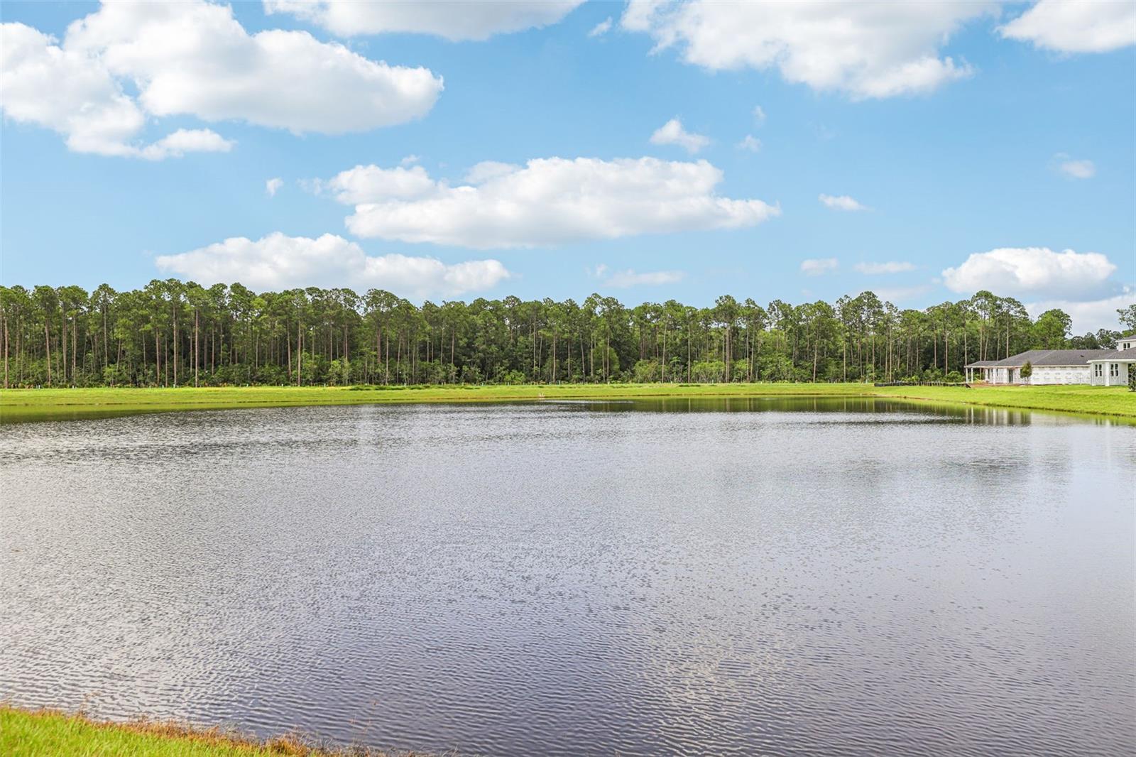 Image 4 of 44 For 8 Wandering Creek Way