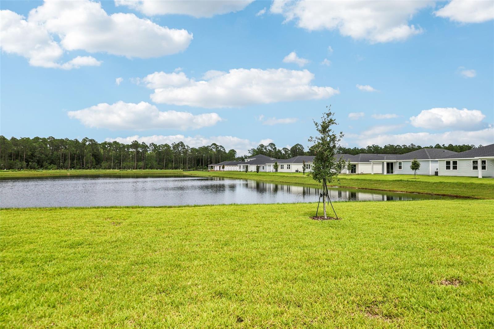 Image 42 of 44 For 8 Wandering Creek Way