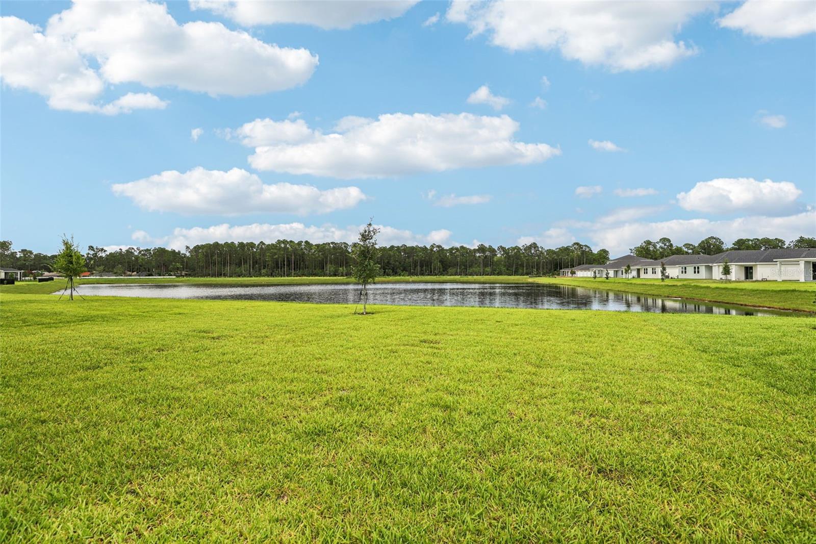 Image 43 of 44 For 8 Wandering Creek Way