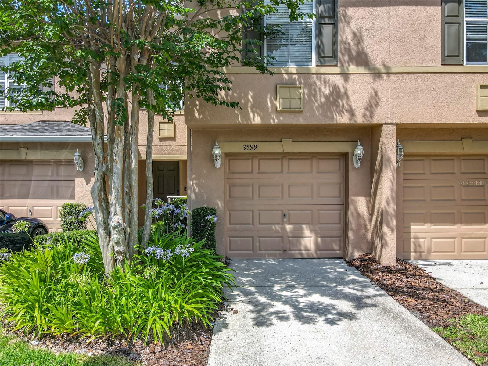 Image 3 of 36 For 3599 Caruso Place