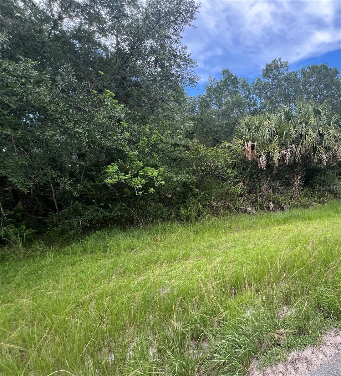 Details for 00 Dallas Boulevard, ORLANDO, FL 32833