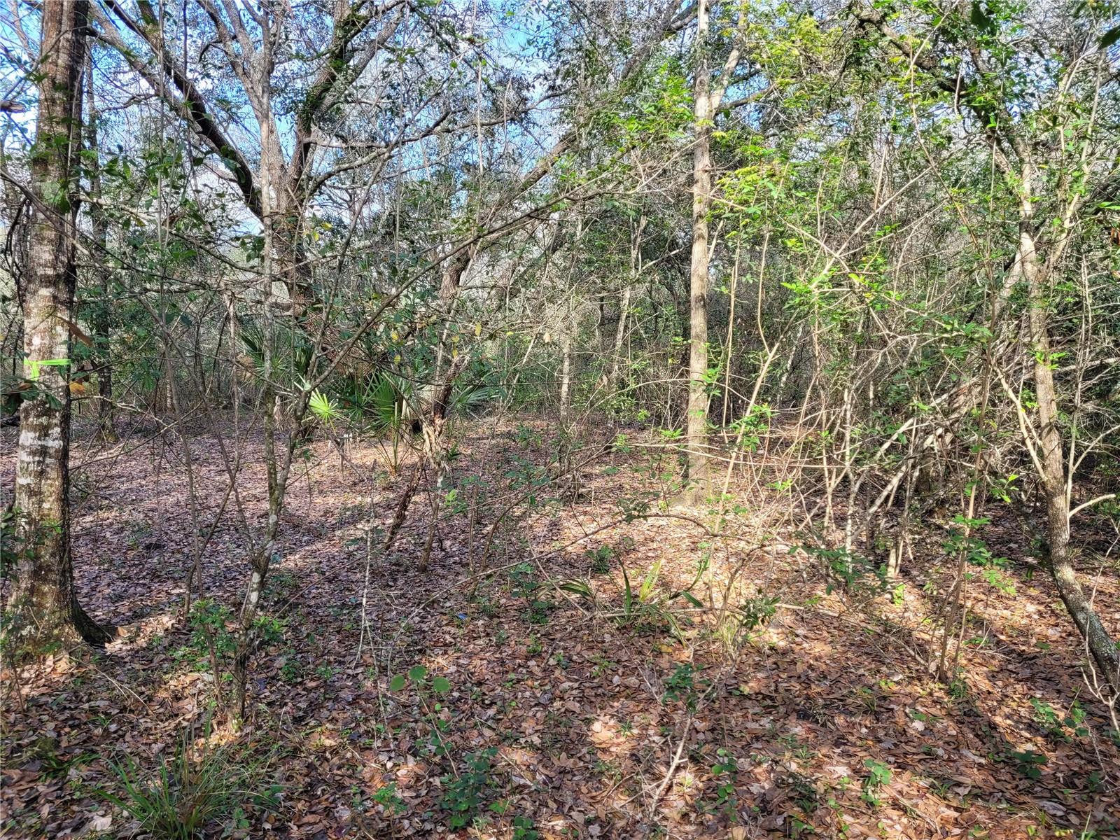 Image 10 of 20 For 00 Dallas Boulevard