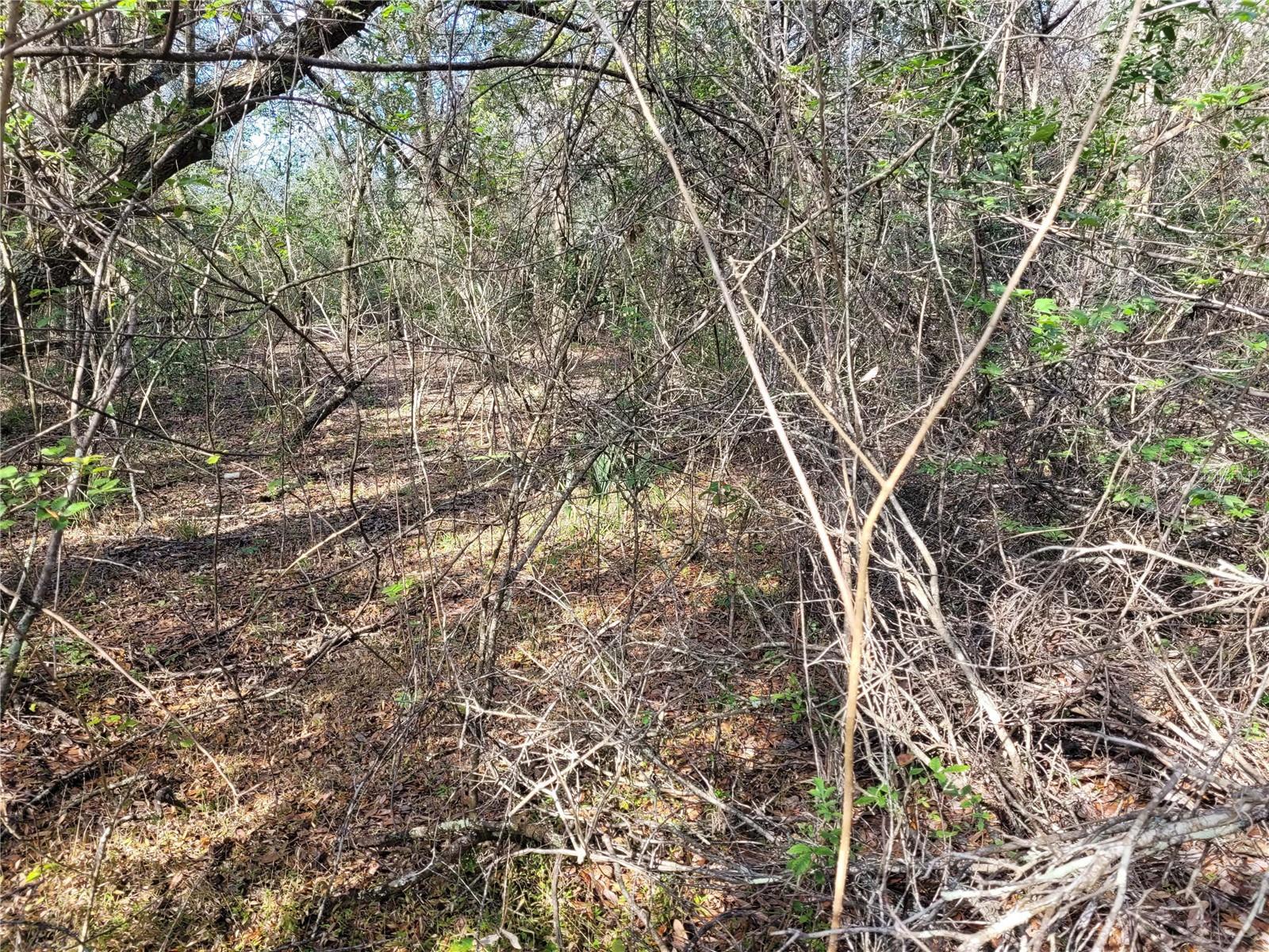 Image 12 of 20 For 00 Dallas Boulevard