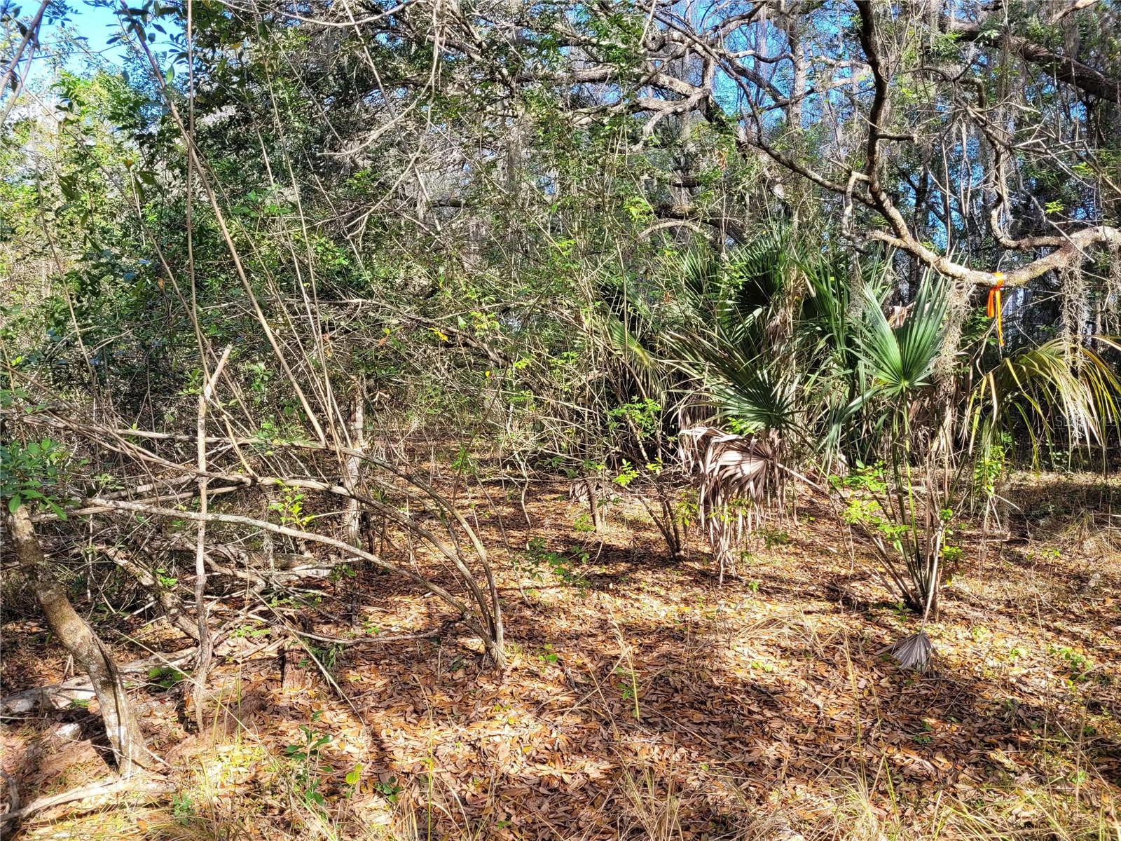 Image 13 of 20 For 00 Dallas Boulevard