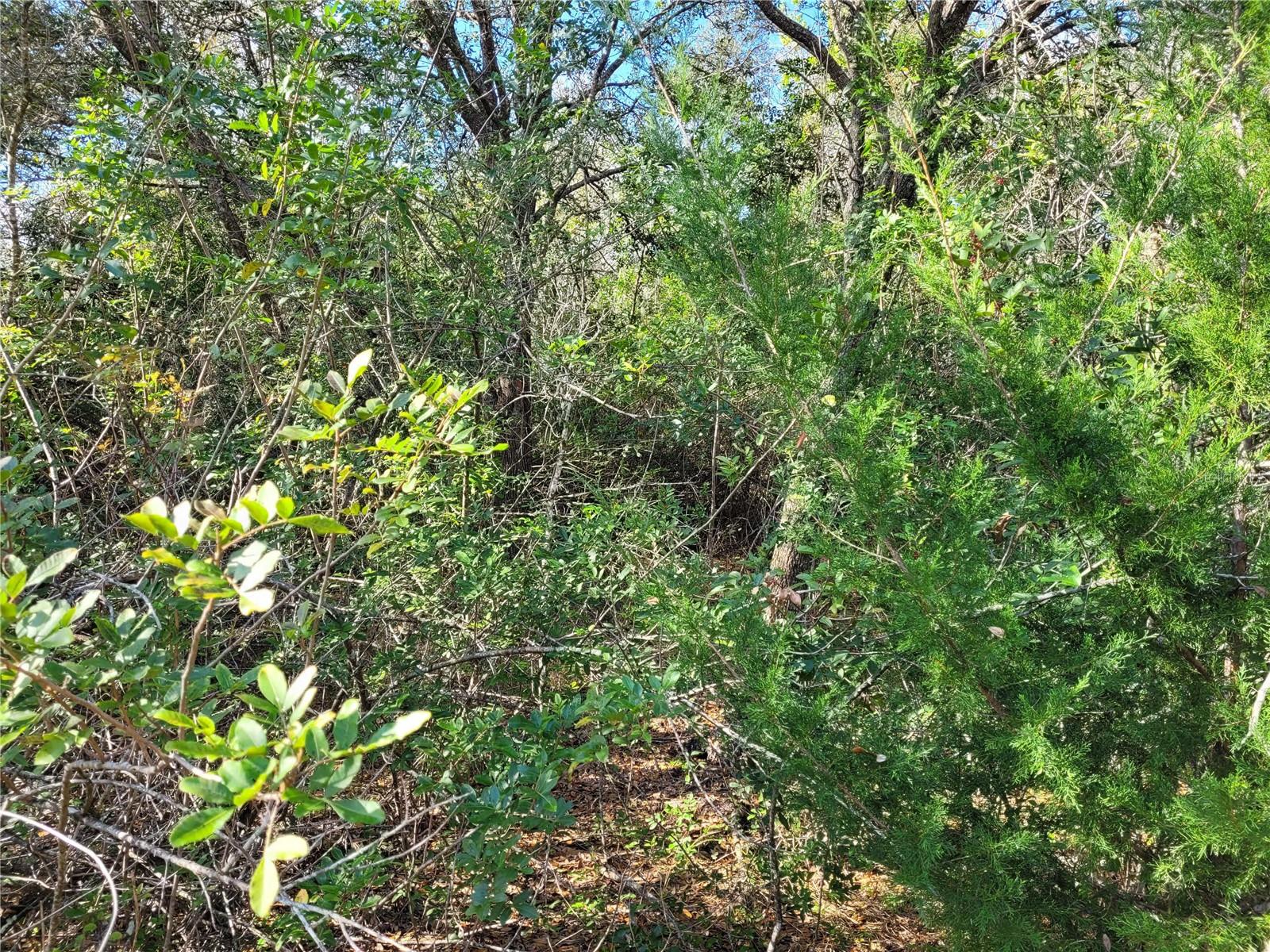 Image 16 of 20 For 00 Dallas Boulevard