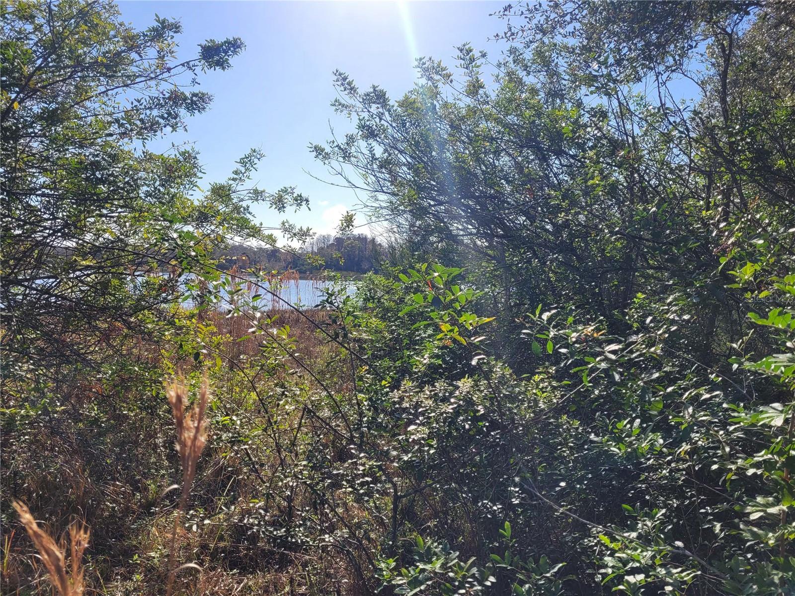 Image 17 of 20 For 00 Dallas Boulevard