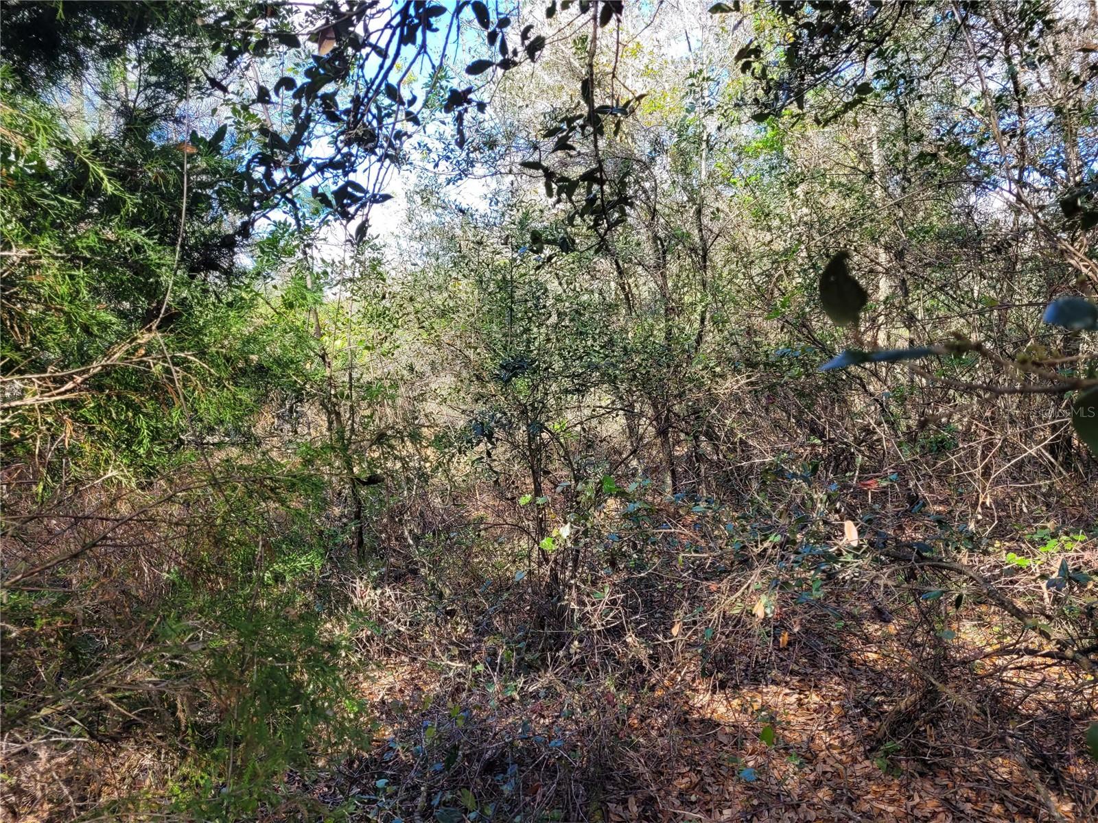 Image 5 of 20 For 00 Dallas Boulevard