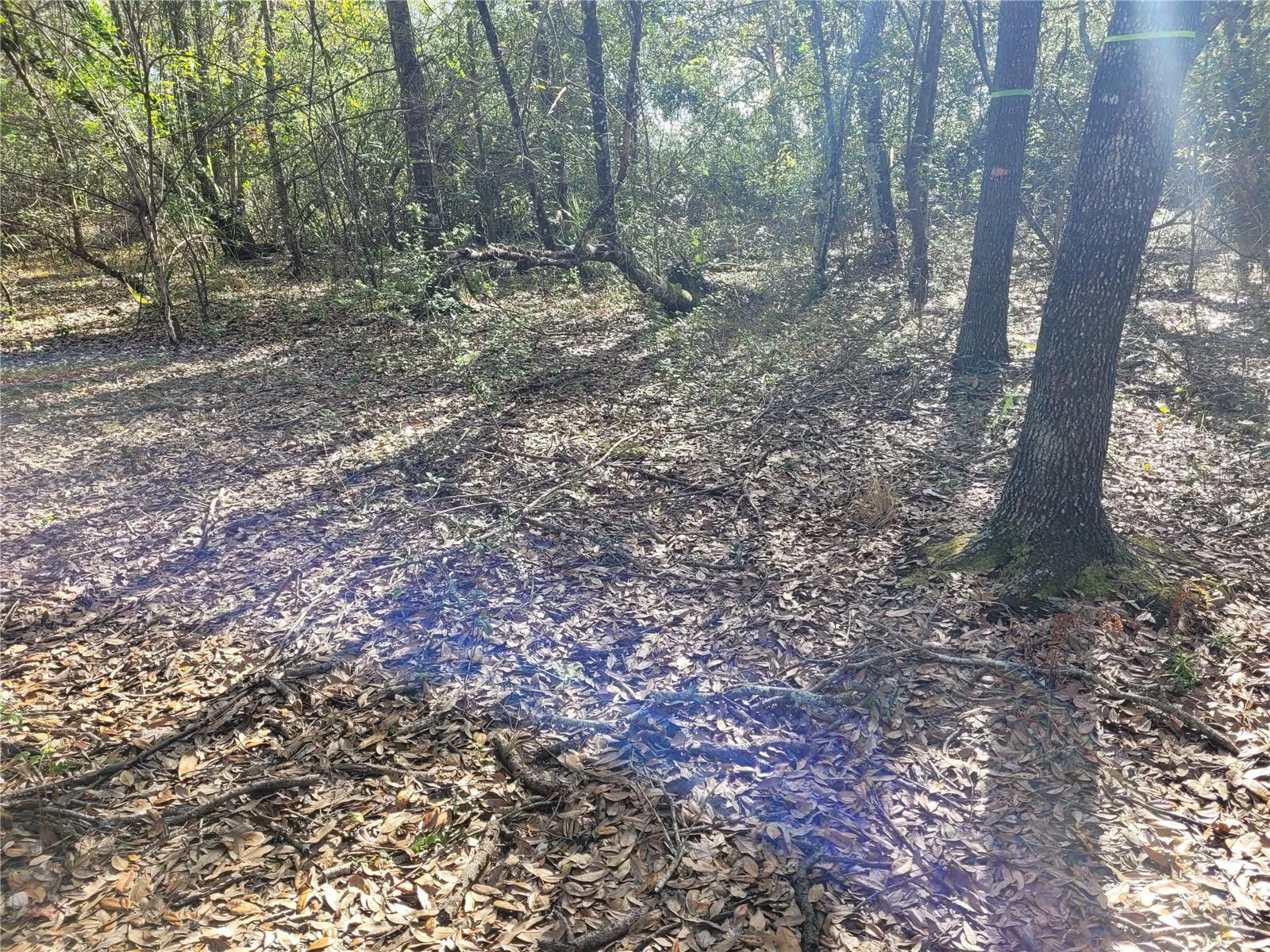 Image 8 of 20 For 00 Dallas Boulevard