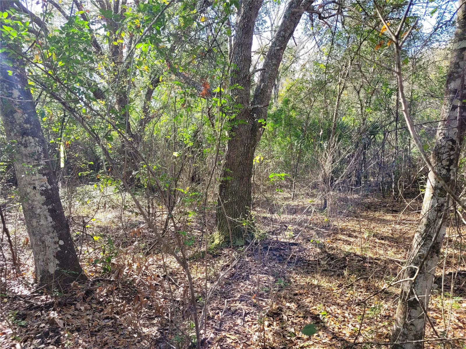 Image 9 of 20 For 00 Dallas Boulevard