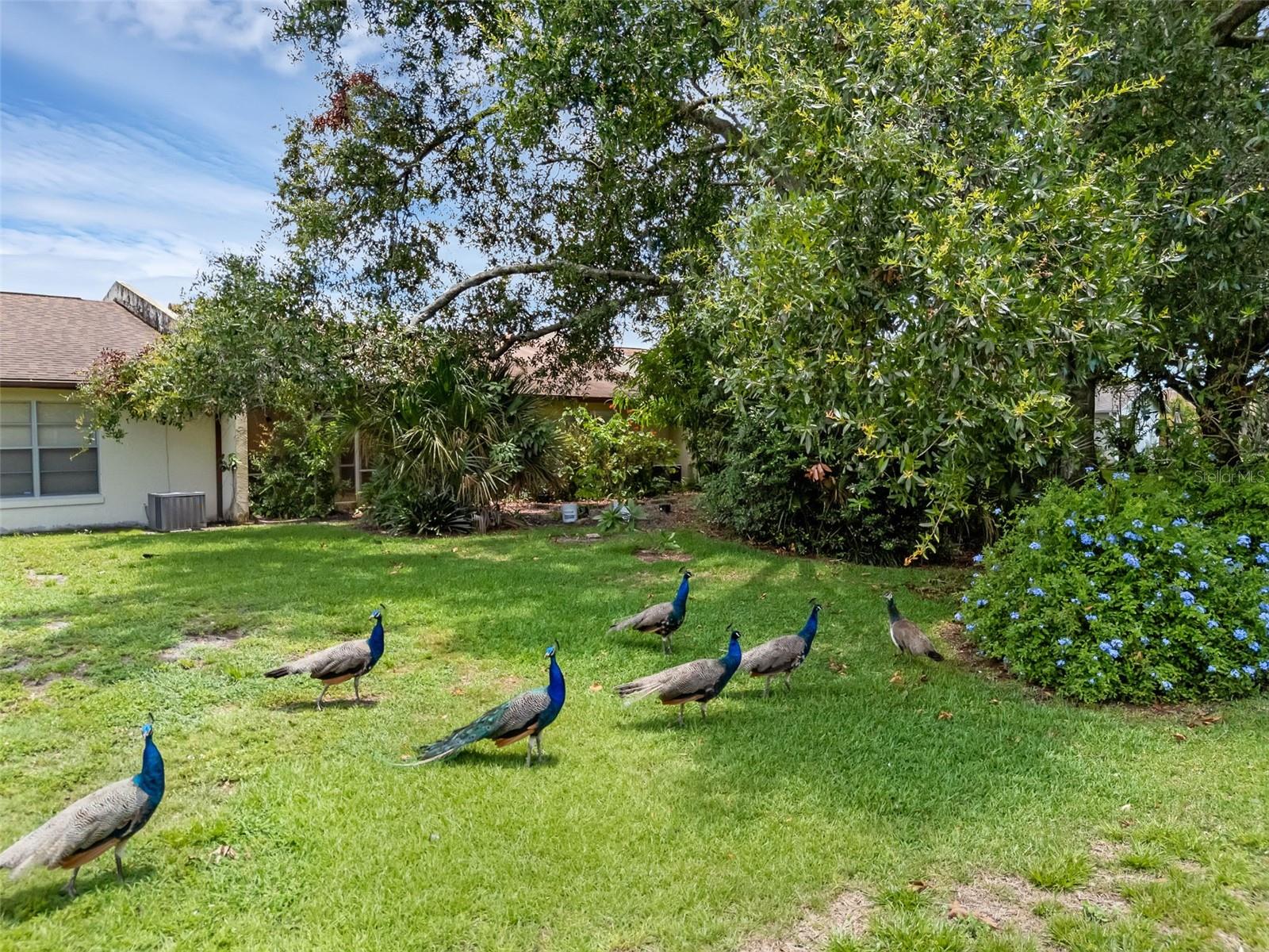 Image 22 of 25 For 1032 Calanda Avenue 1032
