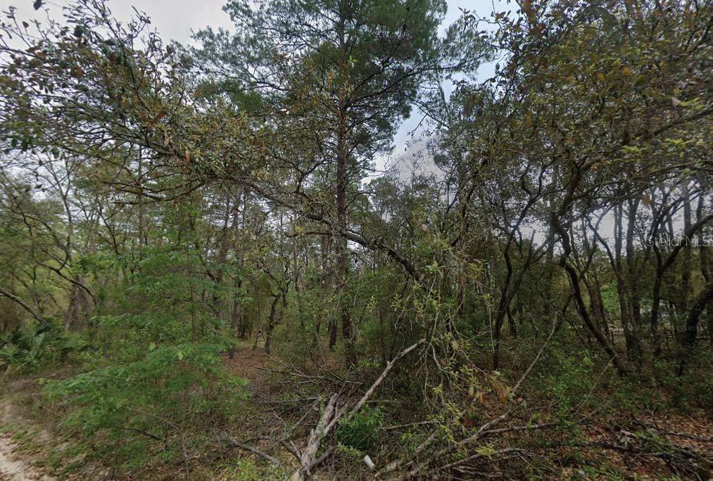 Details for 111 Carolina Drive, SATSUMA, FL 32189