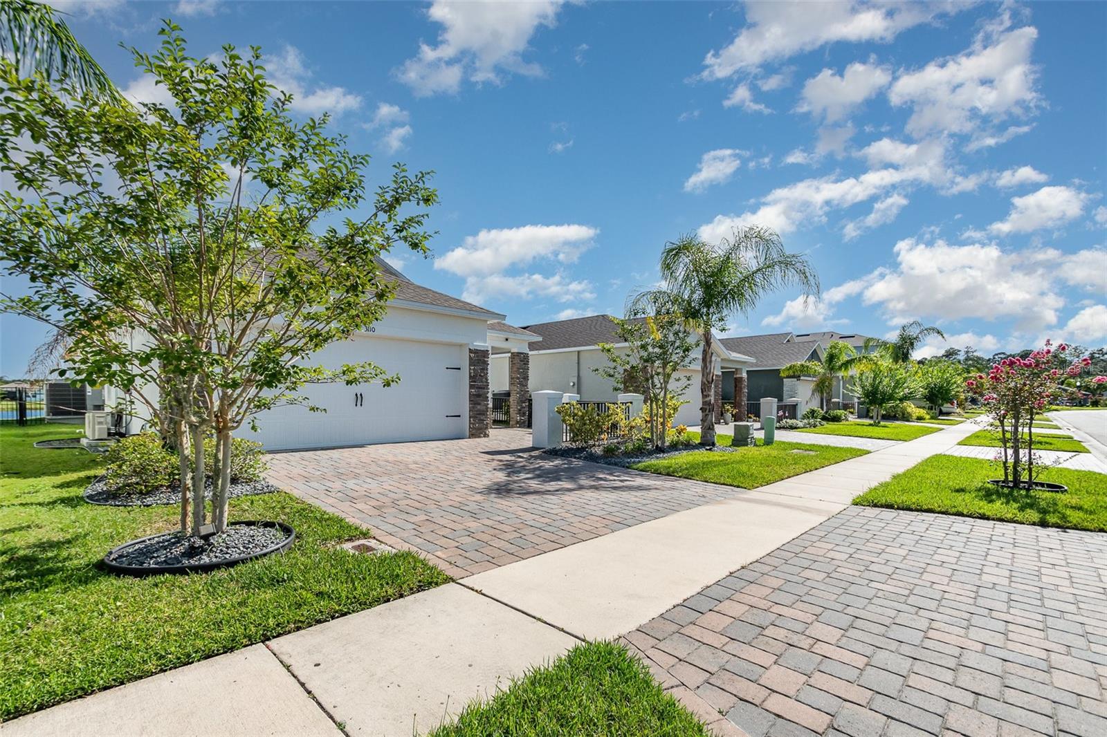 Image 3 of 25 For 3110 Areca Avenue