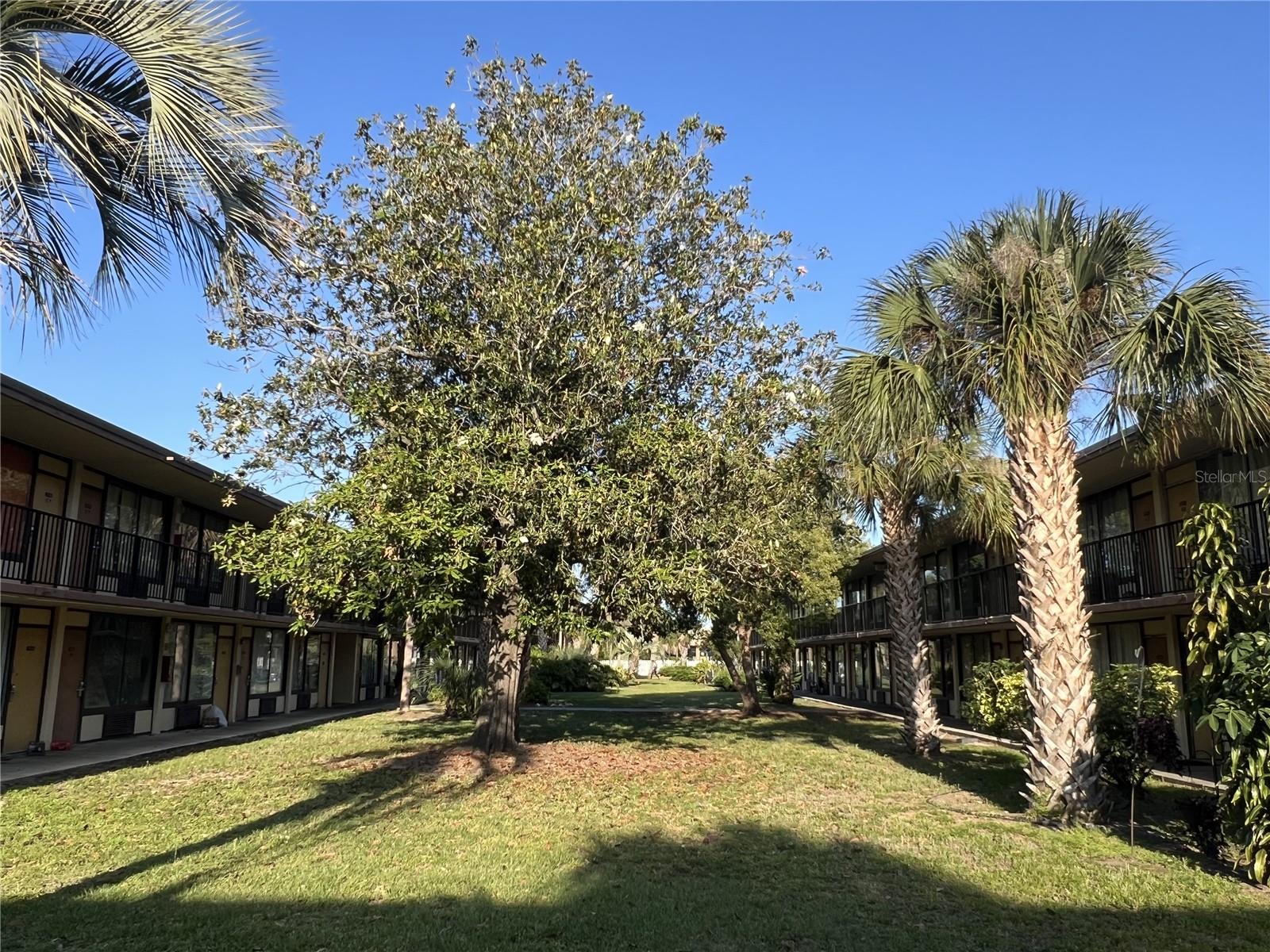 Image 7 of 17 For 7900 Orange Blossom Trail 2035