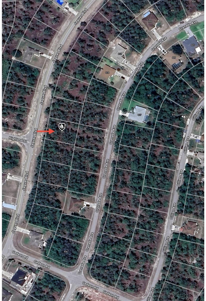 Image 4 of 9 For 436 Jaguar Boulevard