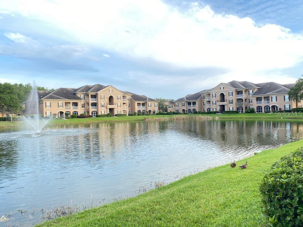 Image 21 of 24 For 14341 Fredricksburg Drive 1007