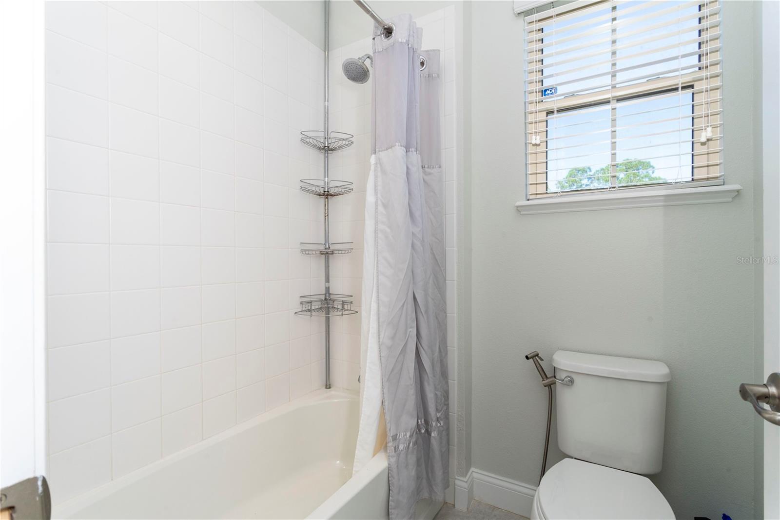Image 63 of 67 For 10427 Royal Cypress Way
