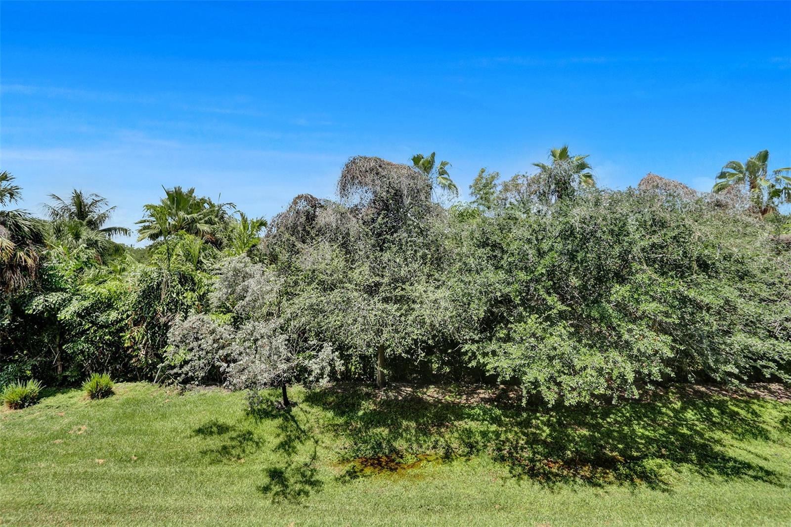 Image 39 of 48 For 5300 87th Avenue 511