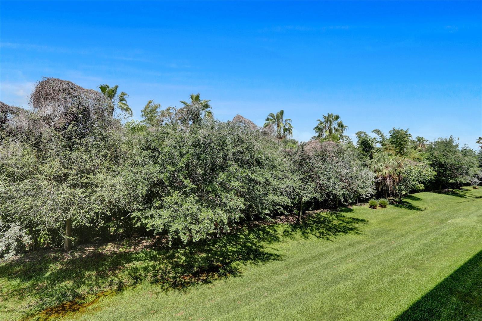 Image 40 of 48 For 5300 87th Avenue 511