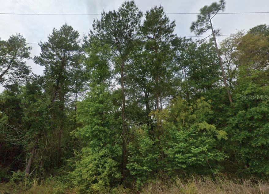 Details for 323 Ridge Road, SATSUMA, FL 32189