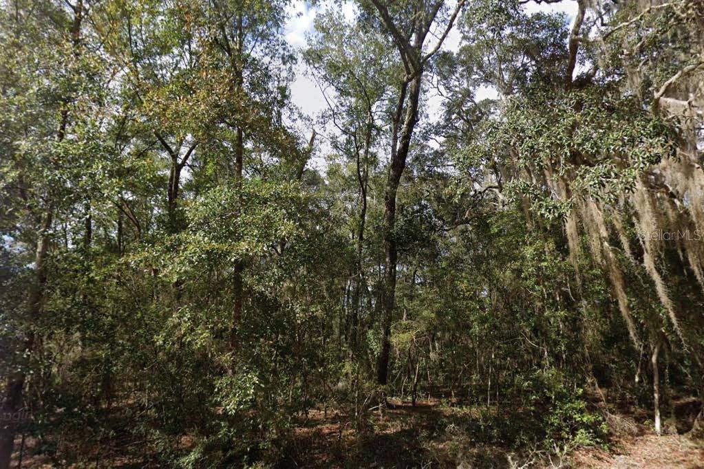 Details for Walker Drive, INTERLACHEN, FL 32148