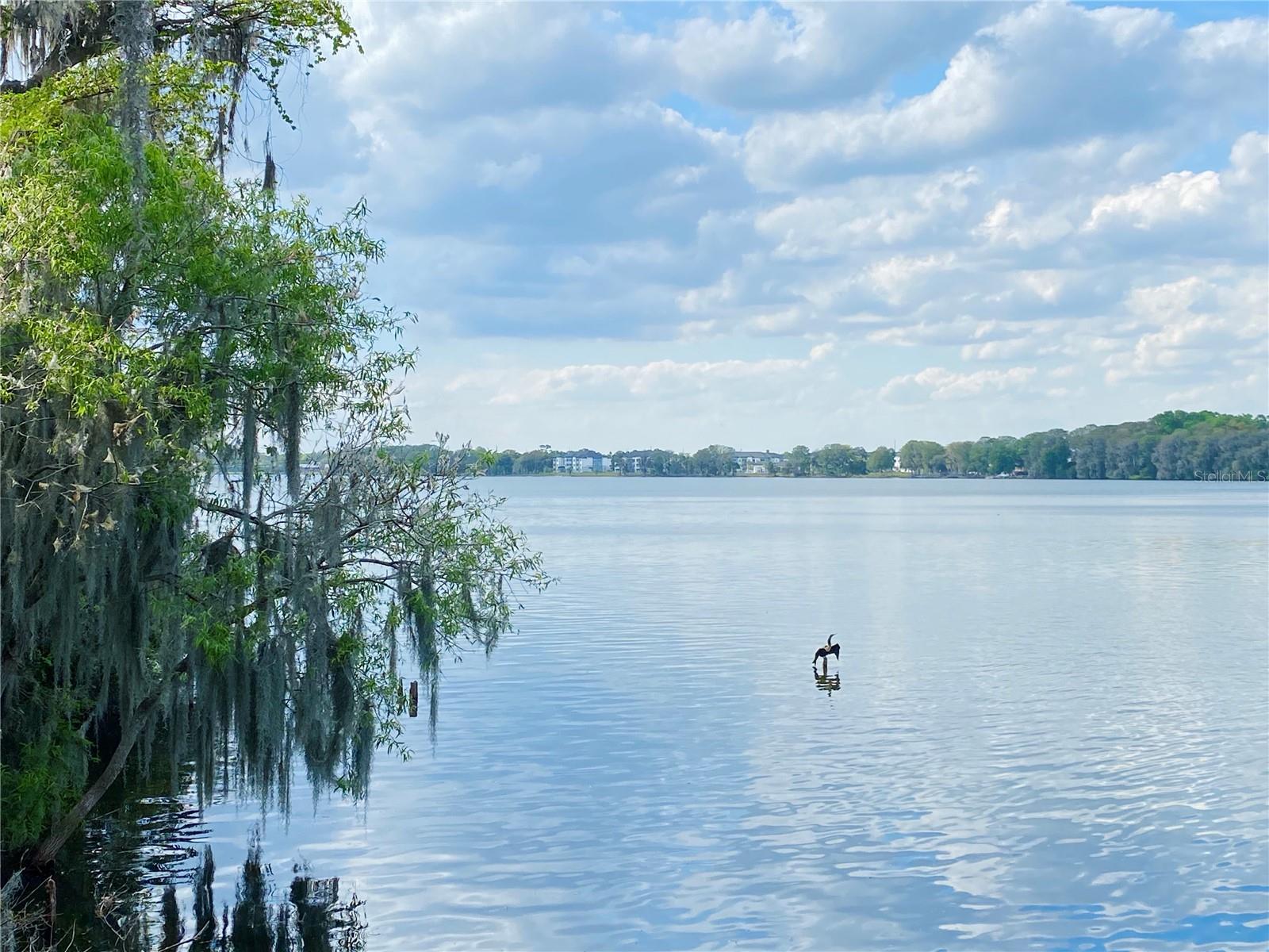 Details for 2307 Kestrel Perch Place, WINTER PARK, FL 32792