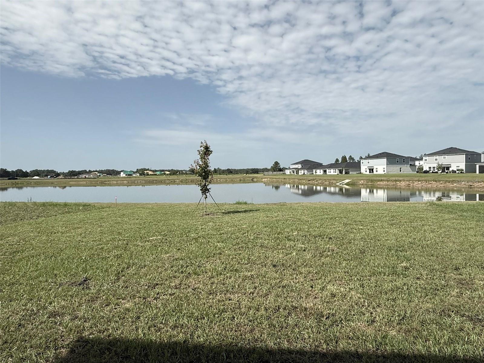 Image 14 of 33 For 37087 Sagemoor Drive
