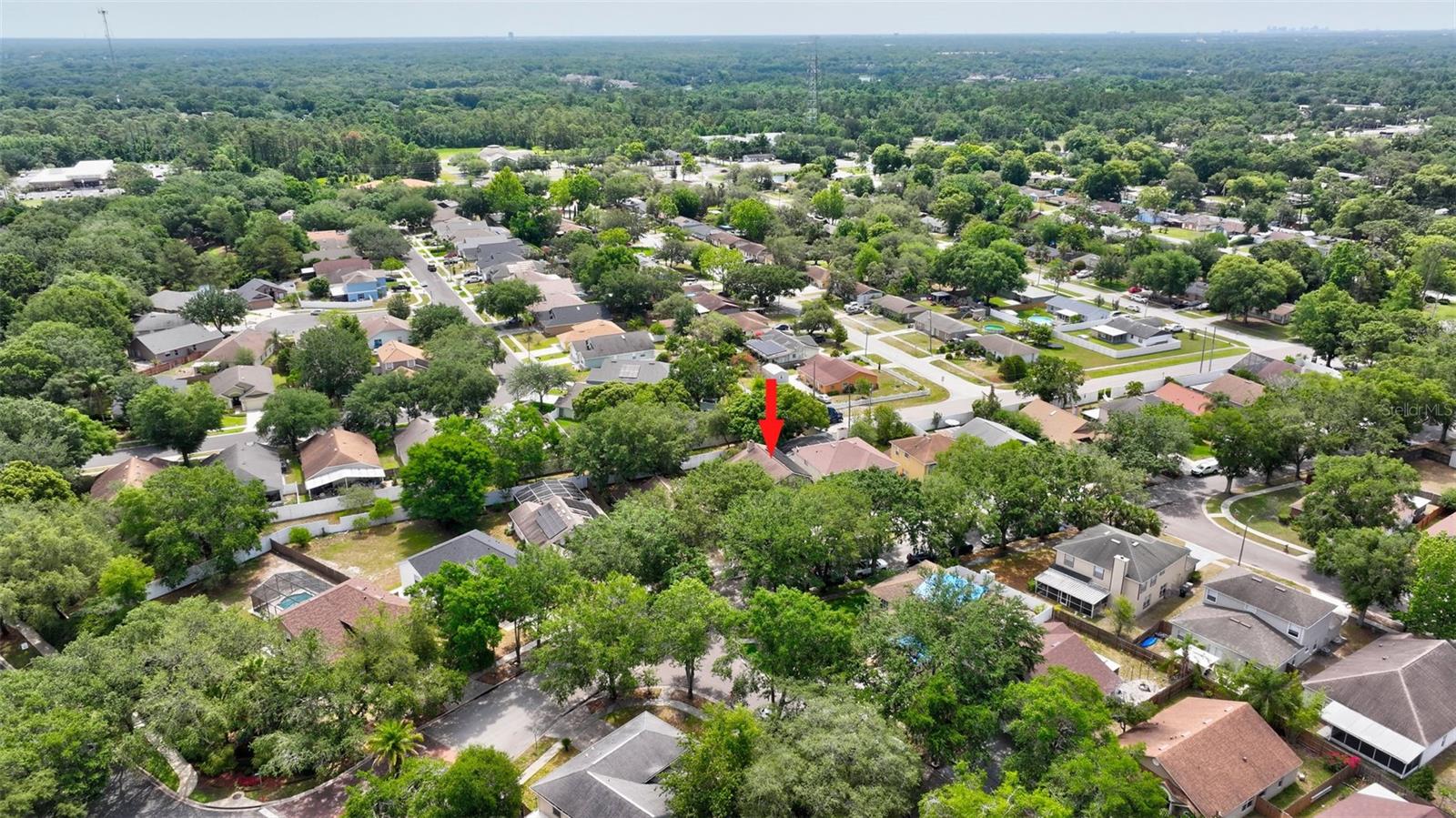 Image 56 of 65 For 1039 Eagles Forrest Drive