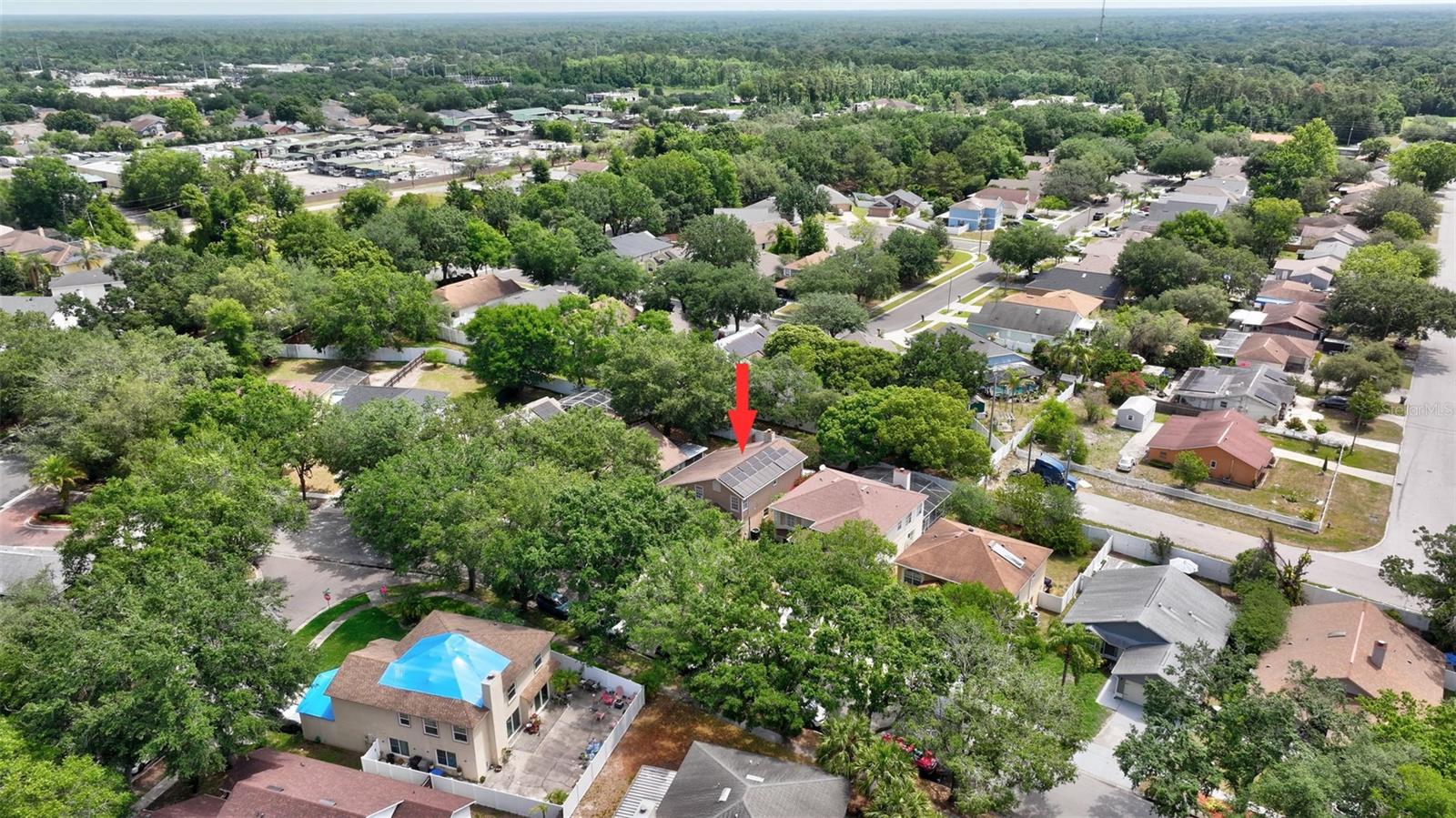 Image 58 of 65 For 1039 Eagles Forrest Drive
