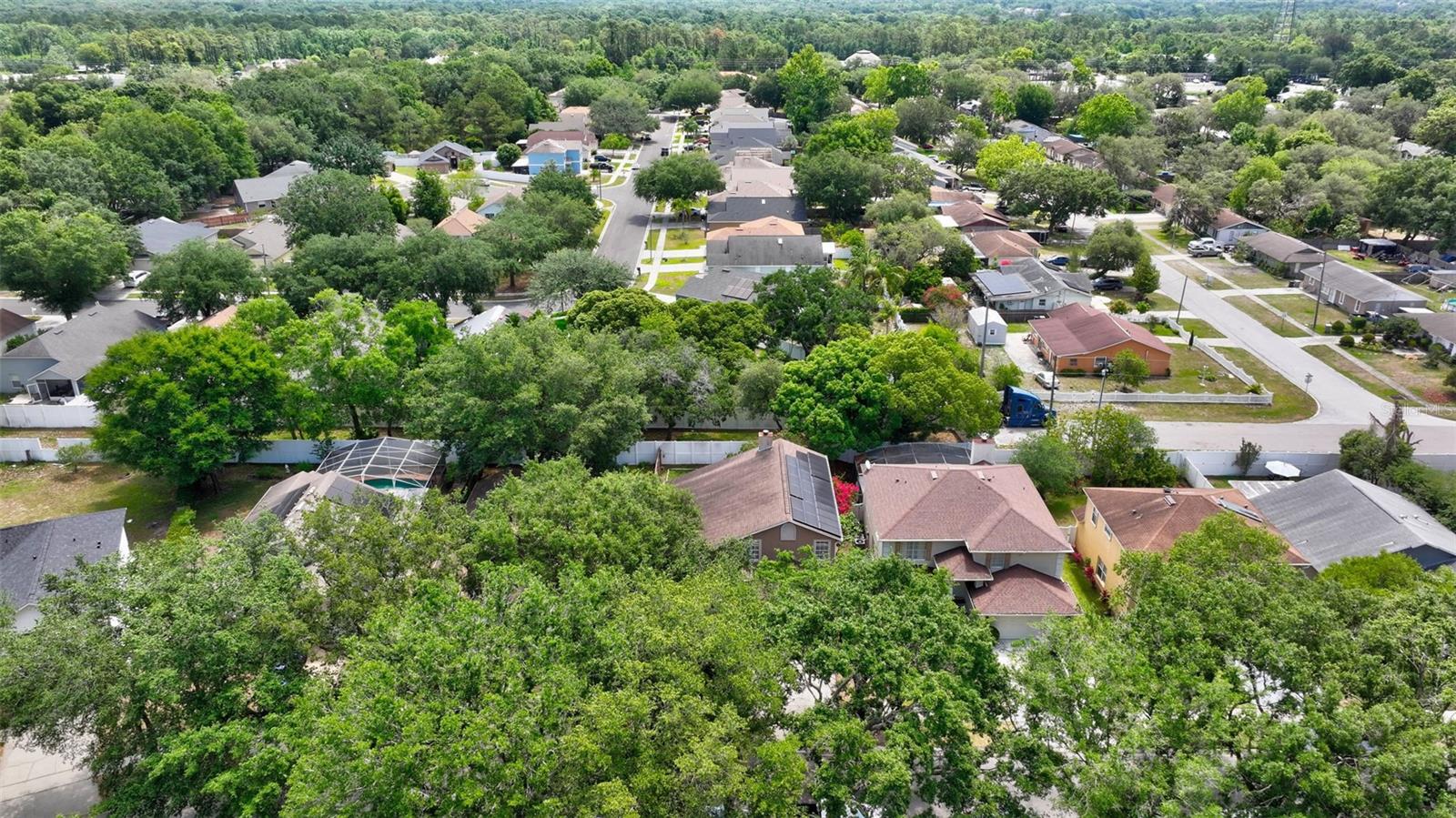 Image 59 of 65 For 1039 Eagles Forrest Drive
