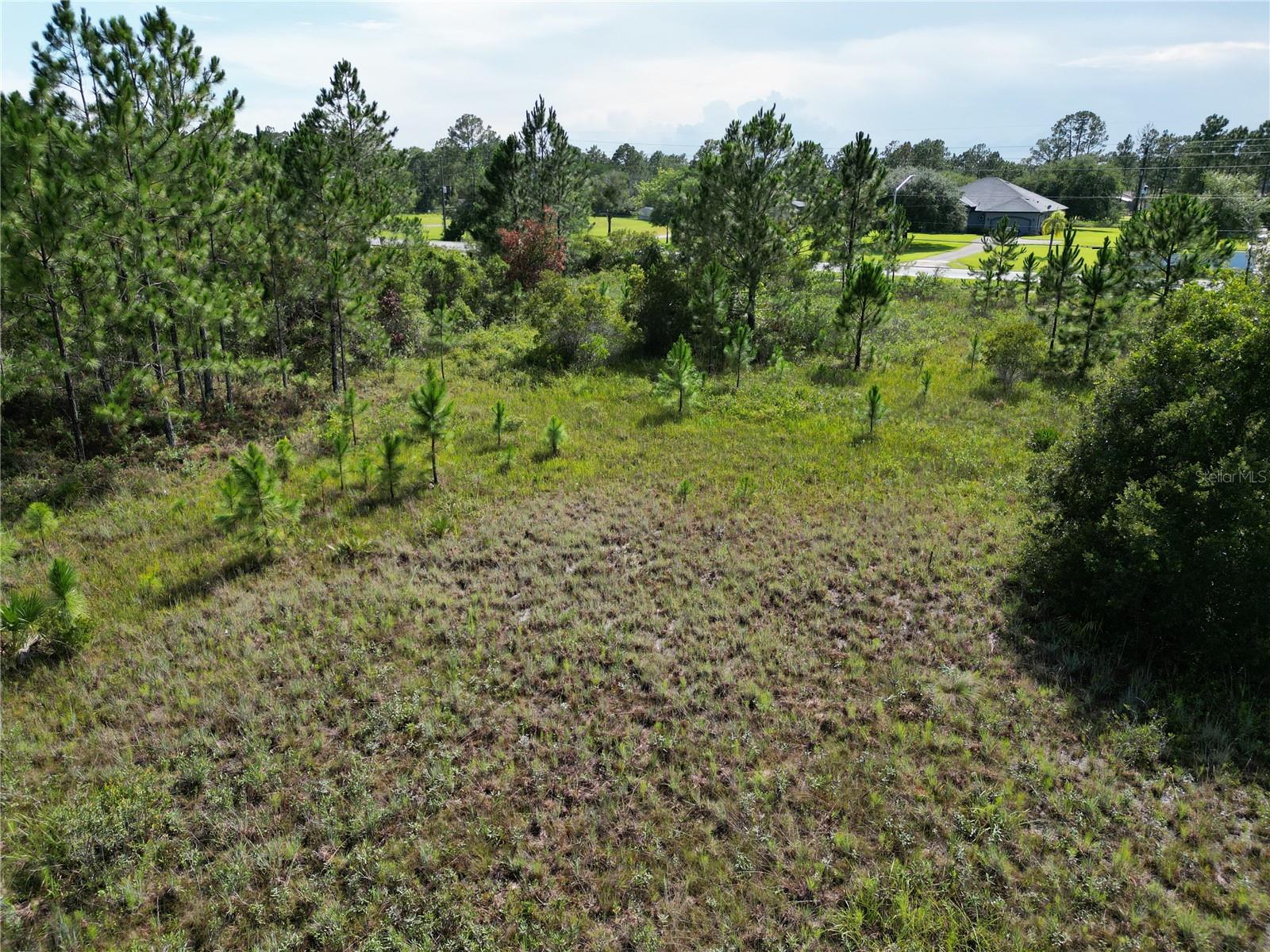 Image 6 of 8 For Bancroft Blvd