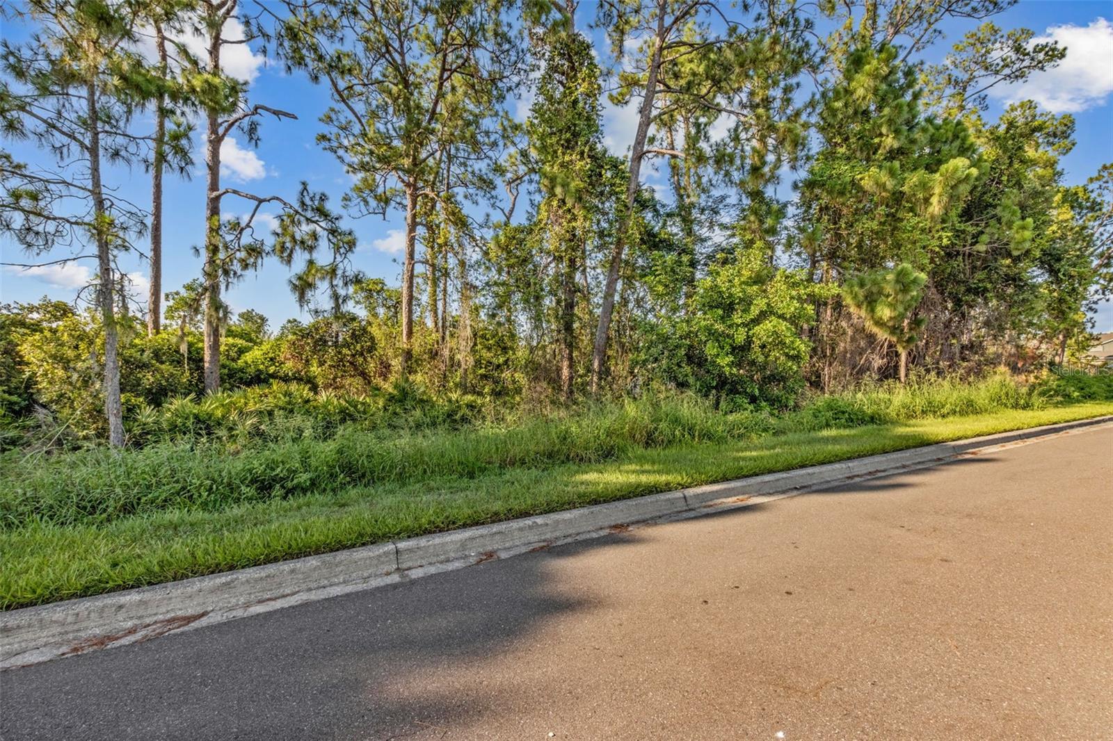 Image 35 of 41 For 12449 Cruxbury Drive