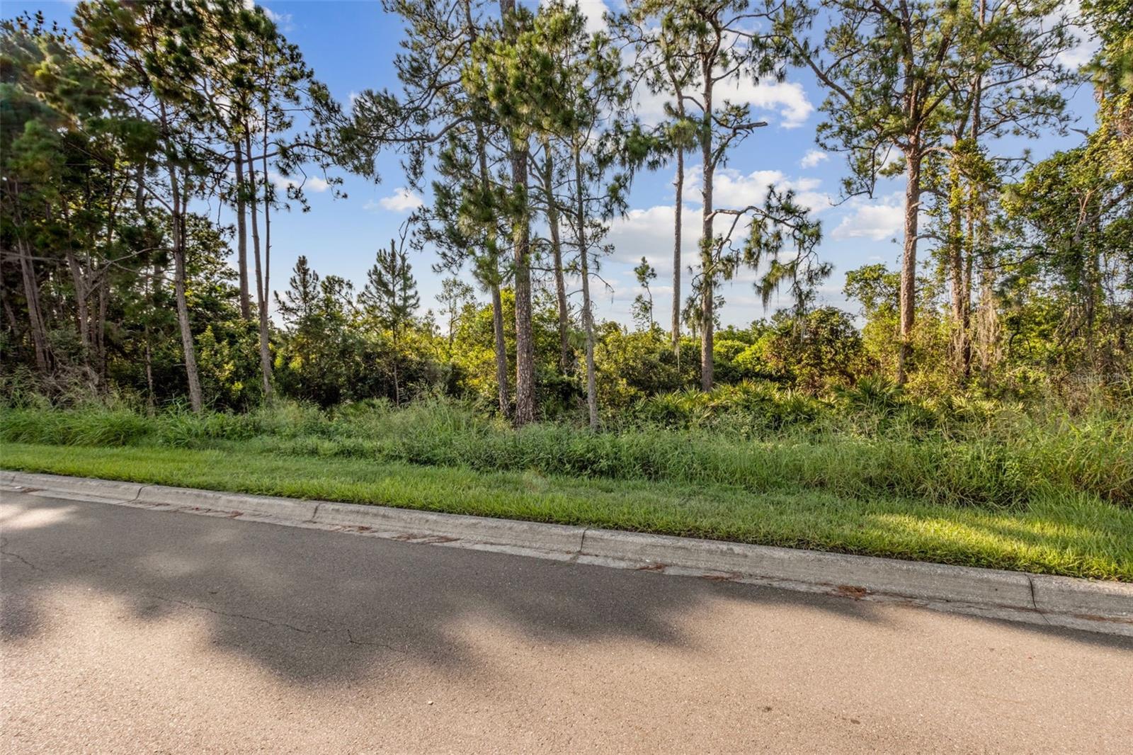 Image 36 of 41 For 12449 Cruxbury Drive