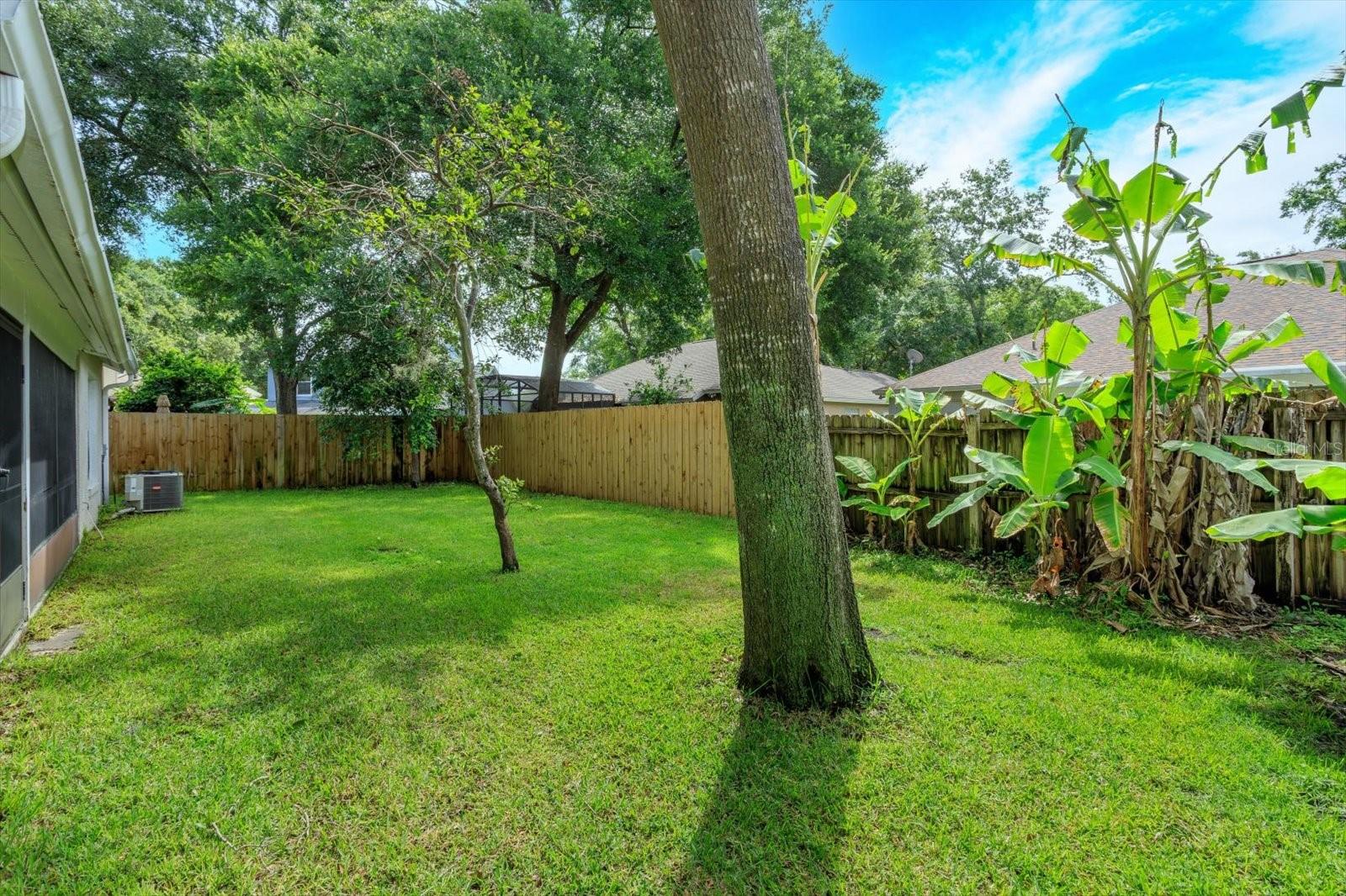 Image 22 of 25 For 1354 American Elm Drive