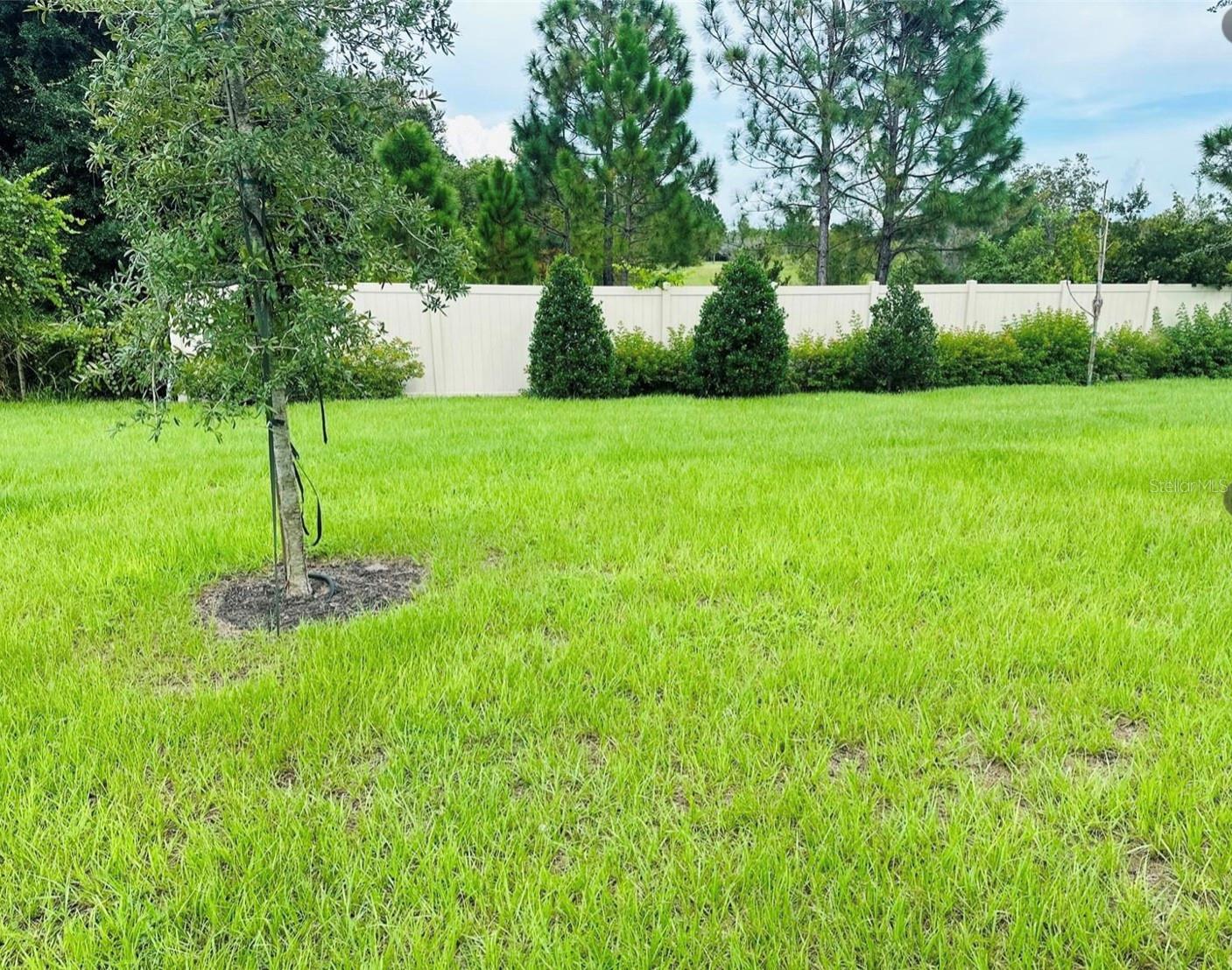 Image 10 of 10 For 2895 Narcoossee Commons Way