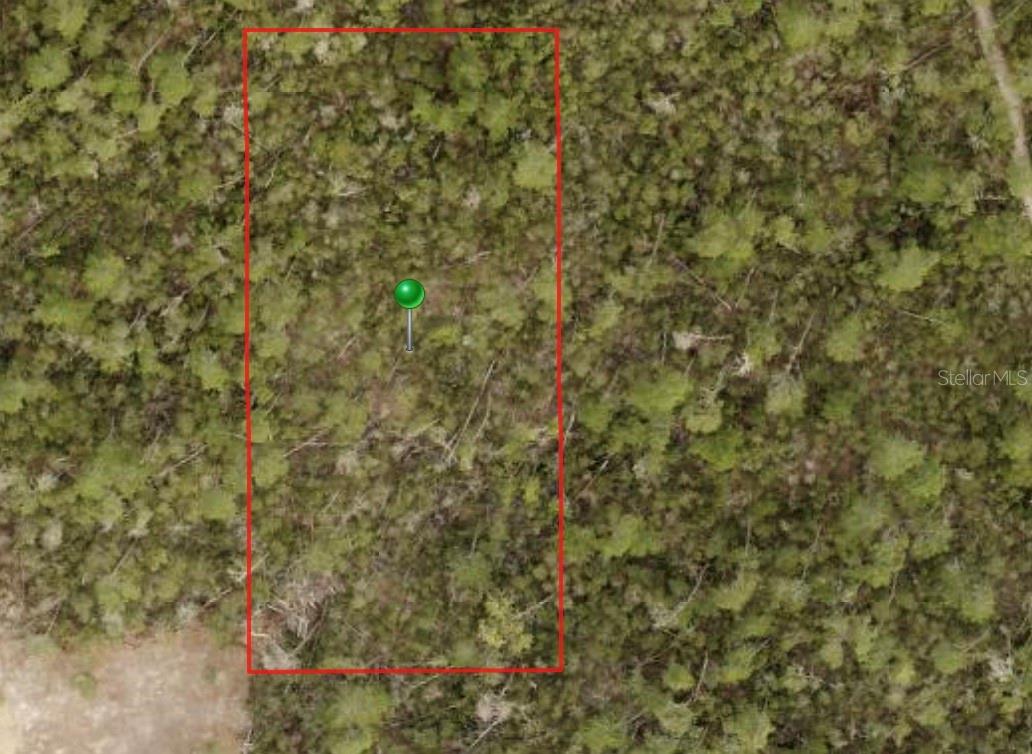 Image 2 of 2 For Ryland Street