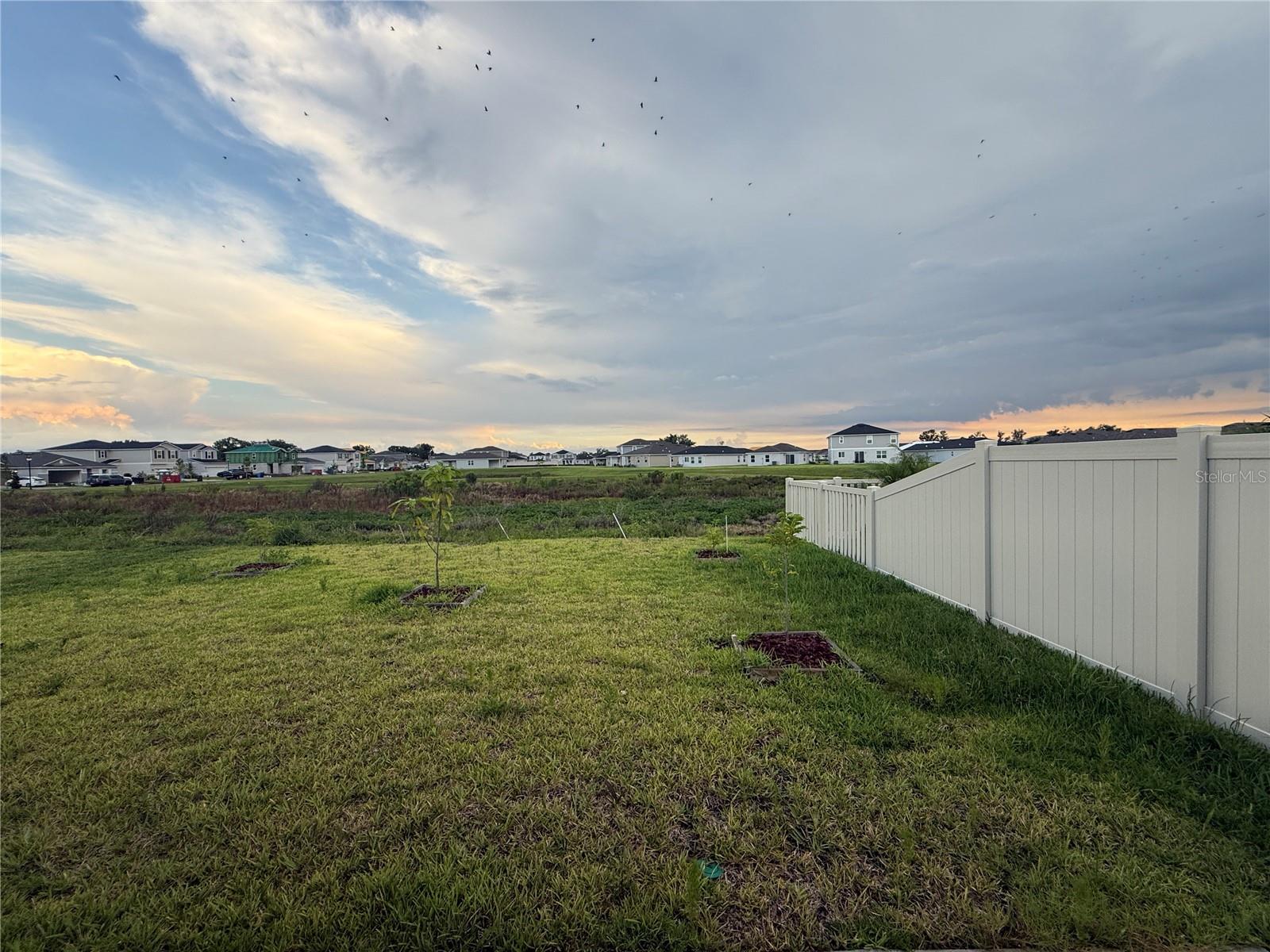 Image 13 of 16 For 10322 Star Flower Lane