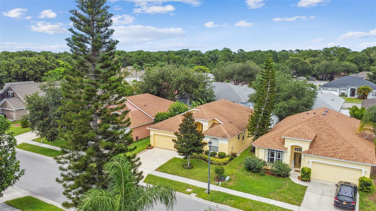 Image 60 of 70 For 1041 Cherry Valley Way
