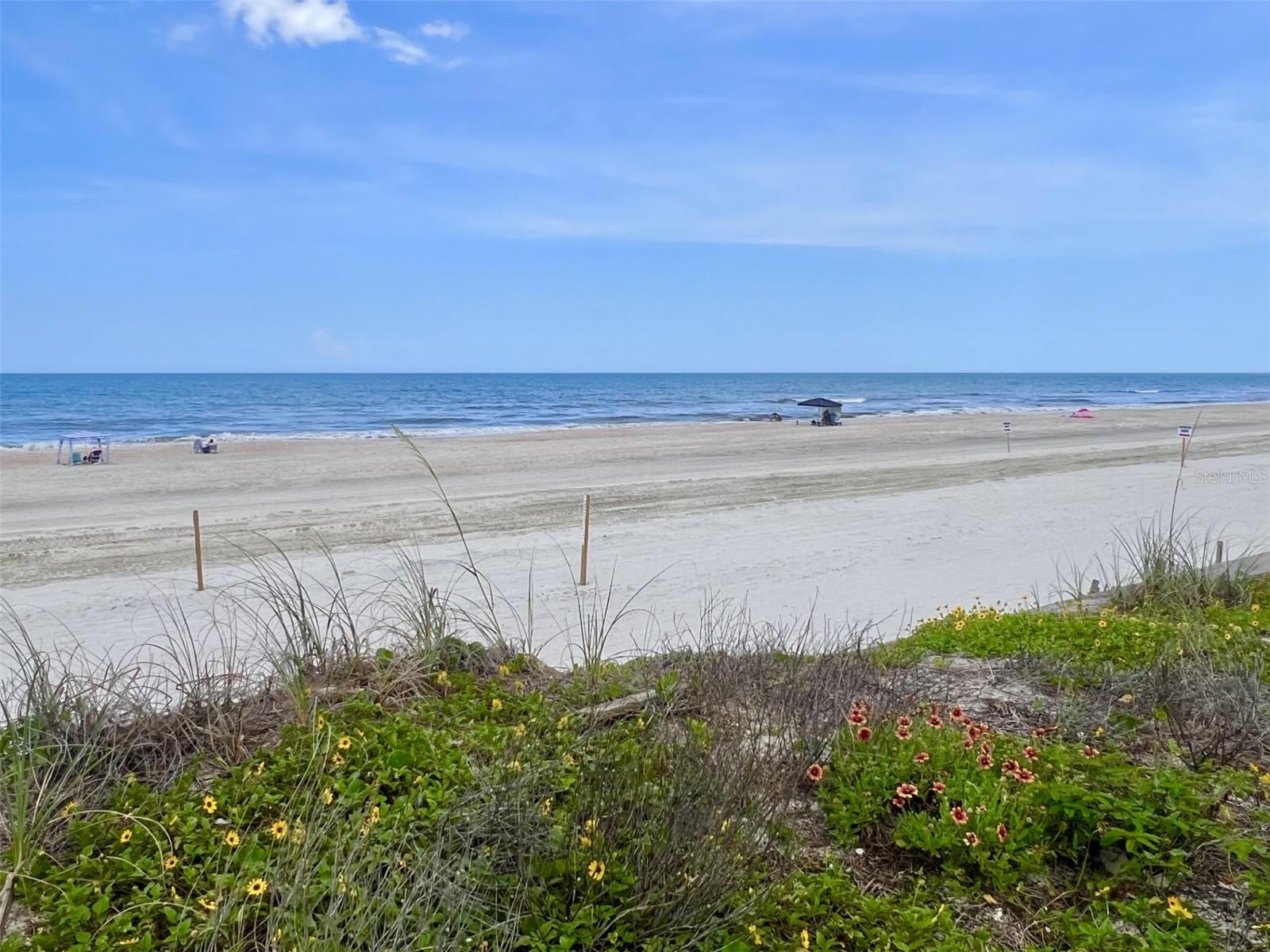 Image 4 of 19 For 4591 Atlantic Avenue