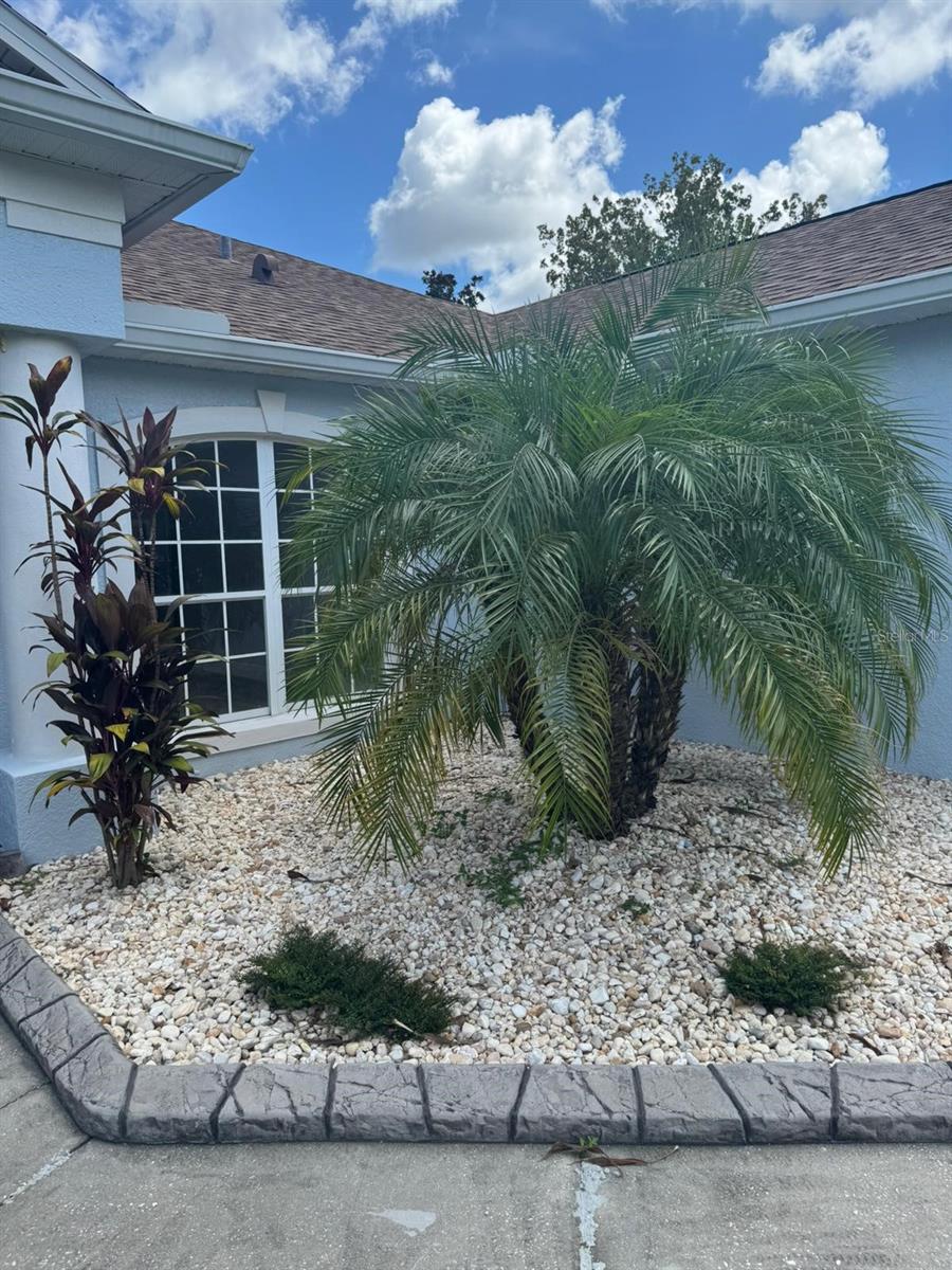 Image 3 of 16 For 11644 Pineloch Loop