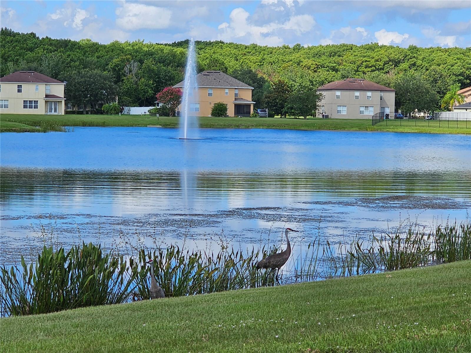 Image 33 of 40 For 4901 Stone Acres Circle