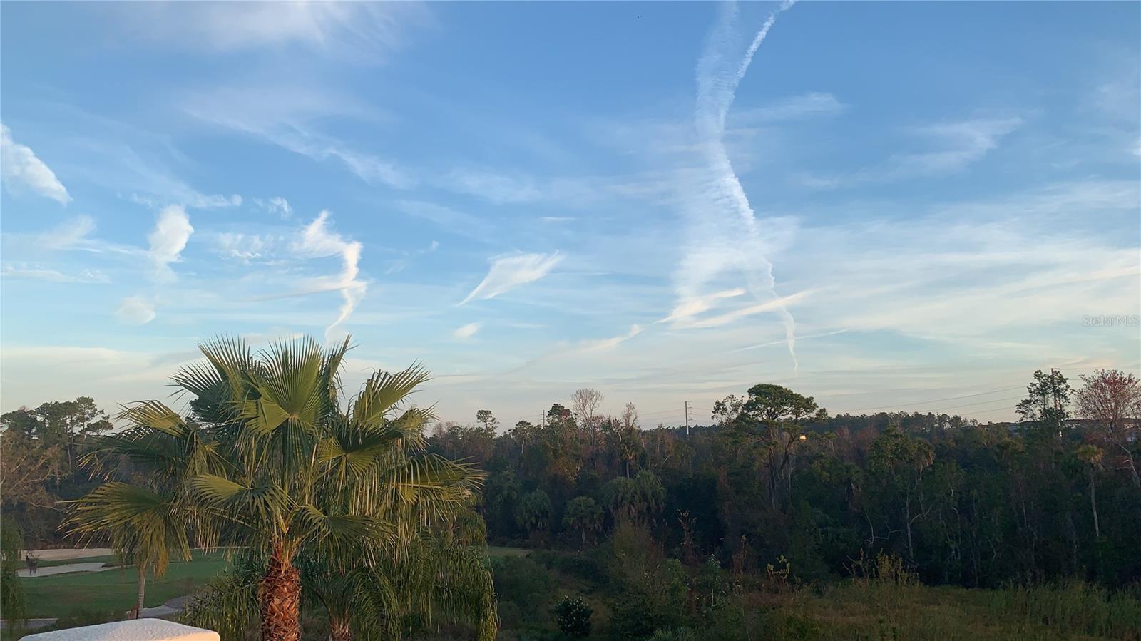 Details for 490 Muirfield Loop, REUNION, FL 34747