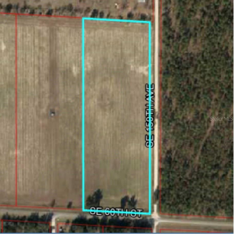 Listing Details for 14951 60th Street, MORRISTON, FL 32668