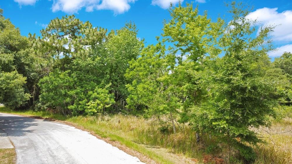 Image 2 of 19 For  Bahia Rd  