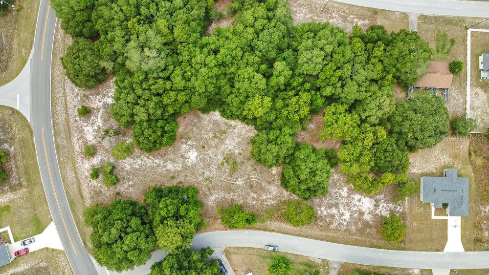 Image 6 of 19 For  Bahia Rd  