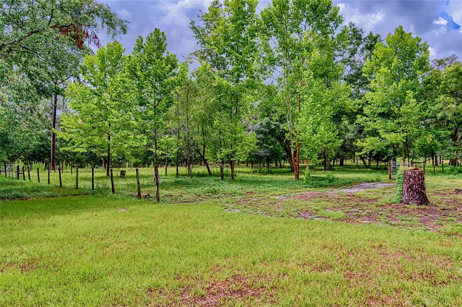 Image 26 of 28 For 11670 37th Lane