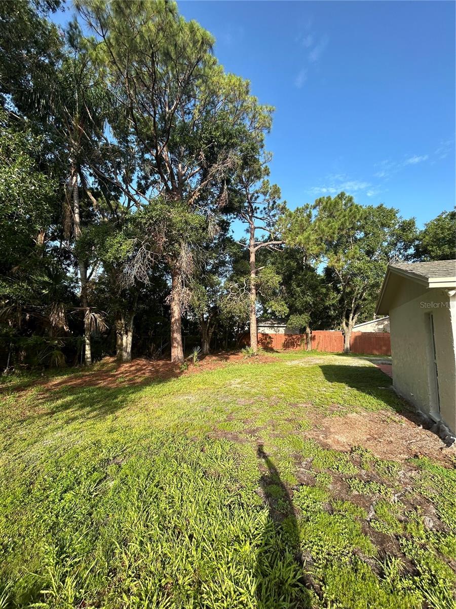 Image 32 of 50 For 9504 Cluster Avenue