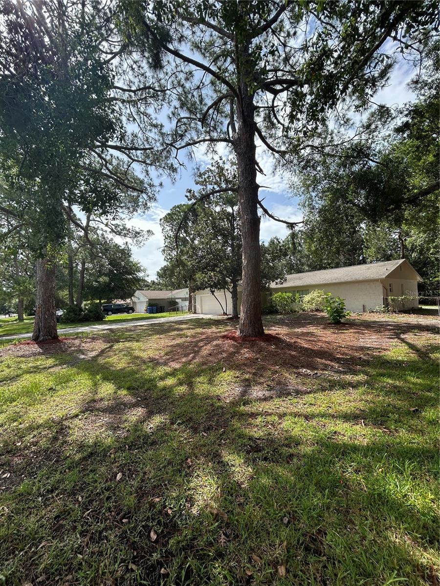 Image 43 of 50 For 9504 Cluster Avenue