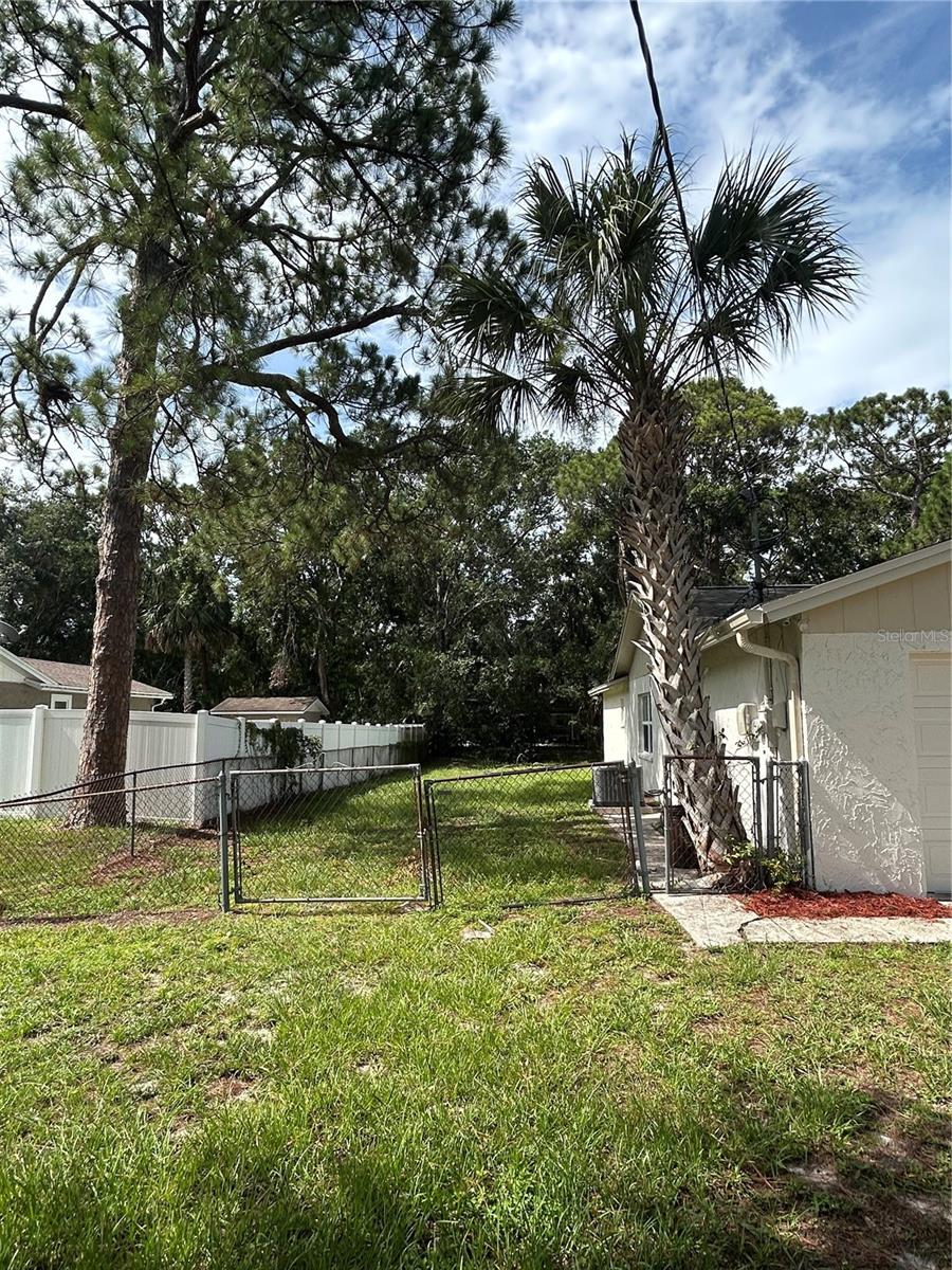 Image 47 of 50 For 9504 Cluster Avenue