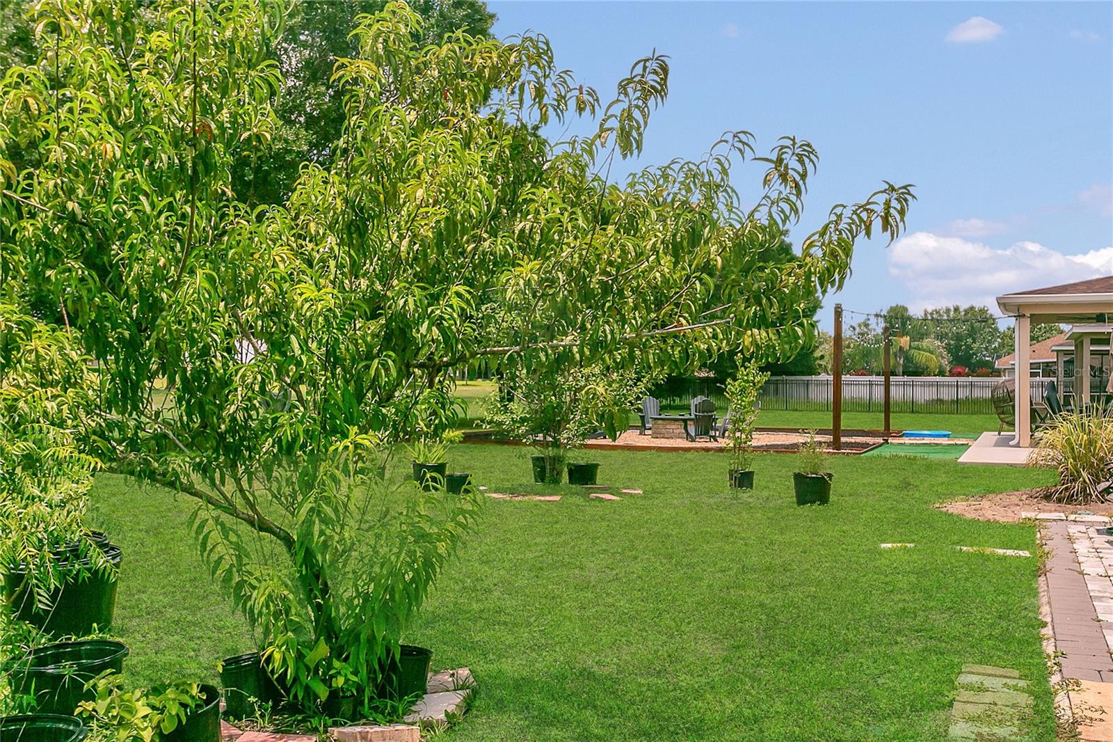 Image 25 of 37 For 33500 Terragona Drive